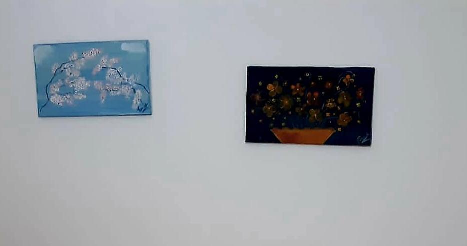 Home Flori&Vili Shkoder Ngoại thất bức ảnh
